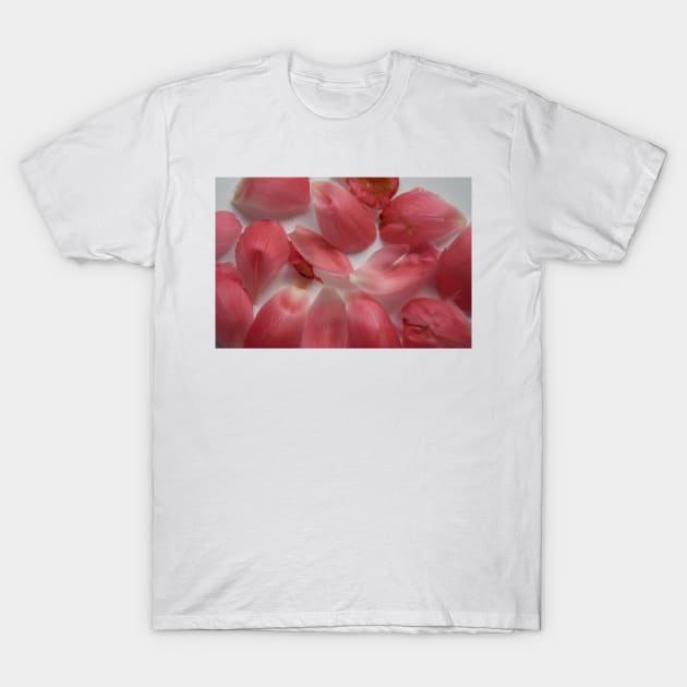 Peony petals T-Shirt by goldyart